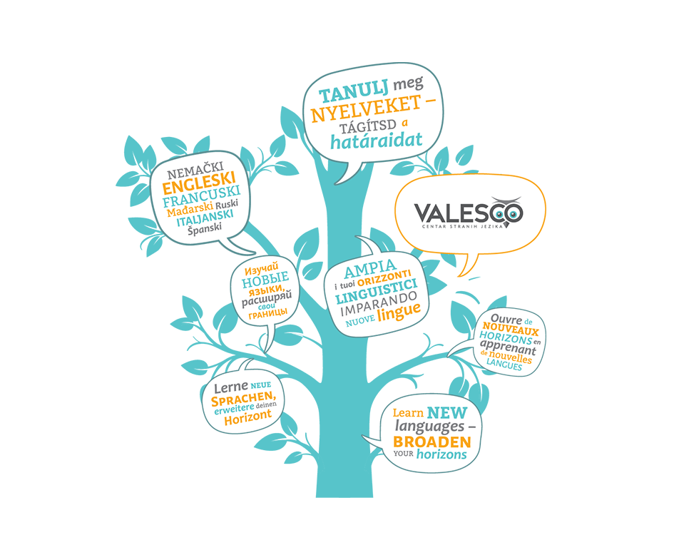 Valesco Centar Logo